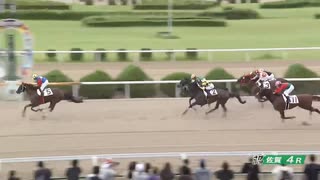 2025年7月13日佐賀競馬4R ＣＯＭＥＨＯＭＥ九州 里帰りＪＣ第１戦 ウェルカムカップ(C2-5組) グラフ