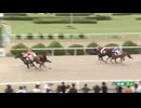 2025年7月13日佐賀競馬5R ＣＯＭＥＨＯＭＥ九州 里帰りＪＣ第２戦　ホームタウンカップ(C1-5組) ショウナンダダン