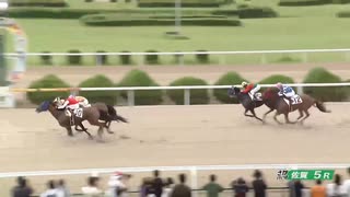 2025年7月13日佐賀競馬5R ＣＯＭＥＨＯＭＥ九州 里帰りＪＣ第２戦　ホームタウンカップ(C1-5組) ショウナンダダン