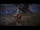 【ソロプレイ】ELDEN RING NIGHTREIGN_闇駆ける狩人【DAYⅡ】