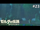 足りないもの【ゼルダの伝説 ブレス オブ ザ ワイルドのんびり実況】#23