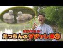 たっちんのダジャレ集③　2025年春【RKB気象予報士　龍山康朗】