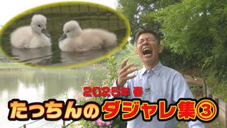 たっちんのダジャレ集③　2025年春【RKB気象予報士　龍山康朗】