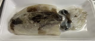 コウイカ　こういか　刺身　三枚おろし　イカゲソ　イカ墨　ご飯