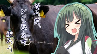 そうだ、とりあえず走ろう