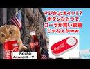 【Amazon ダッシュボタン】たったの4年でサービス終了！？AlexaやAmazon Echoの台頭でシェアを奪われたワンプッシュ注文デバイス #猫マニ #猫ミーム