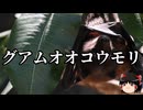 【ゆっくり朗読】ゆっくりさんと絶滅した生物　その36