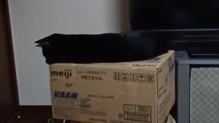 二段ベッドのこま