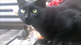 黒猫とフランスパンと肖像画