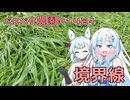 2025年7月14日　農作業日誌P1421　今日も草刈りをしており、家庭菜園とその境界を中心に草刈りしたよ