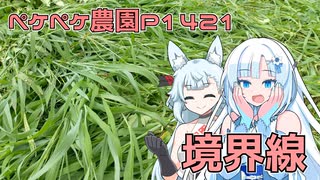 2025年7月14日　農作業日誌P1421　今日も草刈りをしており、家庭菜園とその境界を中心に草刈りしたよ