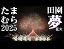 【2025】田園夢花火たまむら花火大会　スターマインダイジェスト
