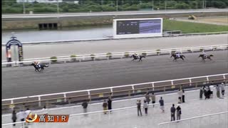 2025年7月13日高知競馬1R ２歳新馬 ジョウショーボビー