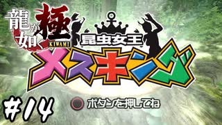 子供にも大人気で至って健全なゲームです【龍が如く 極】#14