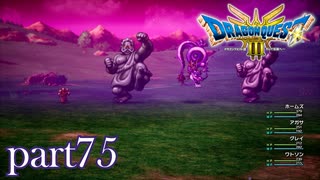 ロトの伝説、ここに始まる。【ドラゴンクエストⅢ実況part75】