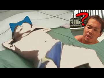 屋上にカビゴンが出現して焼けなくなった先輩