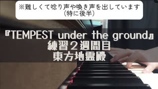 【第17回東方ニコ童祭】『TEMPEST under the ground』練習２週間目