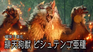 気の向くままにモンスターハンターライズ　サンブレイク実況プレイする【S5狩目】