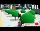 【実況】龍の国 ルーンファクトリーを初見で遊ぶいも【#41】※ネタバレあり