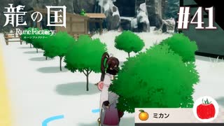 【実況】龍の国 ルーンファクトリーを初見で遊ぶいも【#41】※ネタバレあり