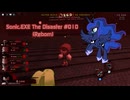 【Sonic.EXE The Disaster】 Walkthrough Gameplay #010 (Reborn)