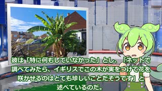 7月15日 世界のおもしろB級ニュース【全5本】【ずんだもん】