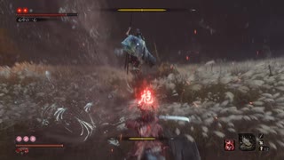 心中の一心ノーダメージ　SEKIRO/隻狼/苦難厄憑