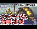 【FF11】セルキットくんをモンクで力押ししてみる／アドゥリン第５章スタート＿＿カッパのヴァナ・ディール生活