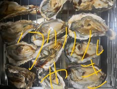 カキ　牡蠣　グリル　焼き　醤油　料理