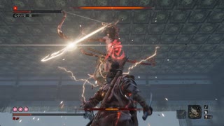 心中の弦一郎ノーダメージ　SEKIRO/隻狼/苦難厄憑