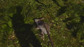 【Medieval Dynasty】これは必要な犠牲なのだ。#2