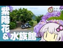 【シンプル車載】ゆかりエスケープ 番外編【愛知】