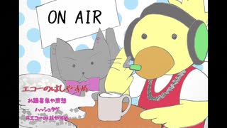 switch2のゲームが出るだとぅ？【エコーのはしやすめ】　＃１１