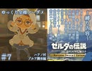 『9種の縛りプレイ＃7』ノーダメージでプルアにカメラ機能を追加してもらう全裸リンク【ゼルダの伝説ブレスオブザワイルドswitch２エディション/ゆっくり実況】
