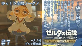 『9種の縛りプレイ＃7』ノーダメージでプルアにカメラ機能を追加してもらう全裸リンク【ゼルダの伝説ブレスオブザワイルドswitch２エディション/ゆっくり実況】