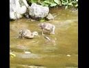 漁夫の利