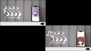 ☆マニア　比較