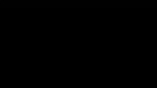 膀胱TV