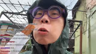ニンポー（千代豊和）　雨が降ってるので 祭りに行く