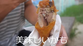 ケンタッキーフライドチキン食べてみた