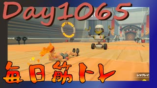 【毎日投稿】ムキ・ムキ・ムキへの道！！！【RFA負荷MAX】#1065