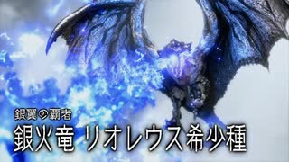 空中戦メインでサンブレイクを楽しむ棍使い【リオレウス希少種編】