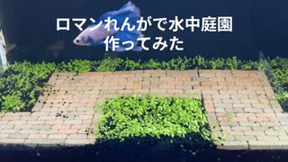 ロマンれんがで水中庭園作ってみた
