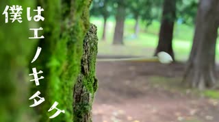 僕はエノキタケ （うた：剣崎雌雄）