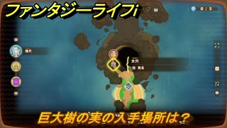 ファンタジーライフｉ　巨大樹の実の入手場所は？　＃６６９　【グルグルの竜と時をぬすむ少女】
