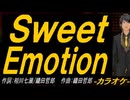 【ニコカラ】Ｓｗｅｅｔ Ｅｍｏｔｉｏｎ【off vocal】