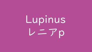 Lupinus｜メリクレット｜レニア｜紅紫 べにむらさき #b44c97