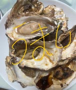 カキ　牡蠣　グリル　焼き　醤油　料理