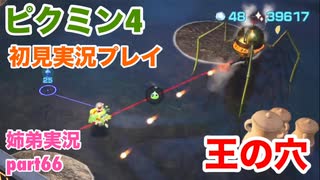 □■ピクミン4を初見実況プレイ part66【姉弟実況】