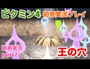 □■ピクミン4を初見実況プレイ part67【姉弟実況】